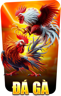 đá gà