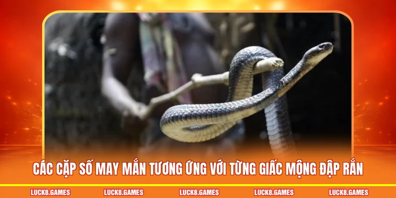 Các cặp số may mắn tương ứng với từng giấc mộng đập rắn