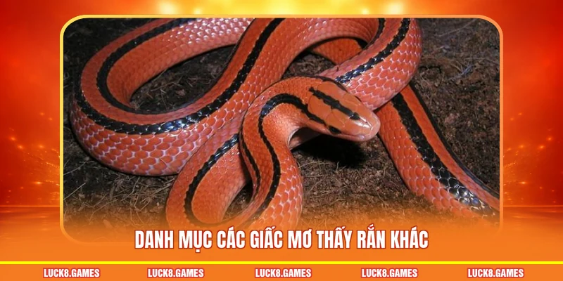 Danh mục các giấc mơ thấy rắn khác