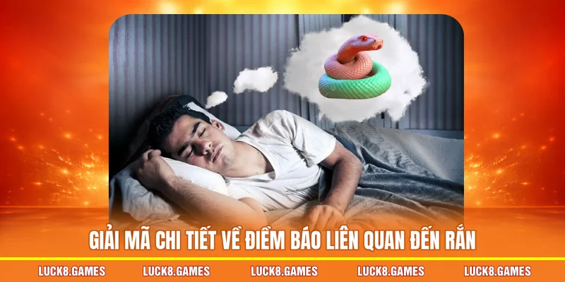 Giải mã chi tiết về điềm báo liên quan đến rắn