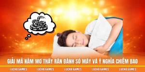 nằm mơ thấy rắn đánh số mấy