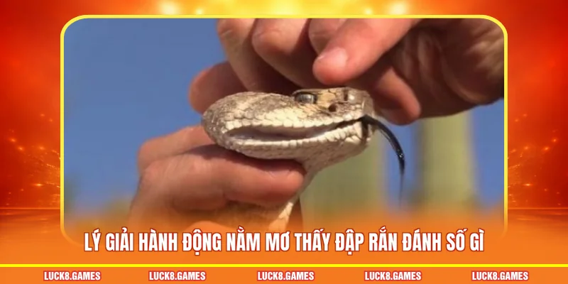 Lý giải hành động nằm mơ thấy đập rắn đánh số gì