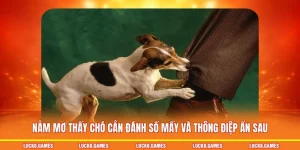 nằm mơ thấy chó cắn đánh số mấy