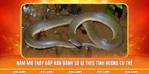 Nằm mơ thấy đập rắn